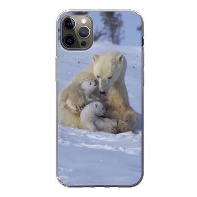 Produktbild von MuchoWow® Handyhülle Schutzhülle Hülle für iPhone 13 Pro Max Eisbären - Schnee - Weiß Silikon Softcase Handy Hülle - Mobiltelefon