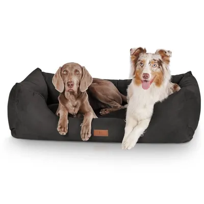 Immagine prodotto di Letto per cani Dreamline L-XL - 105 x 75 cm | Nero