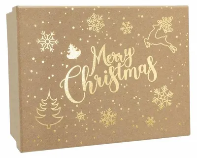 Produktbild von Geschenkbox Weihnachten Merry Christmas Kraftpapier braun 20x15x9cm Geschenkverpackung