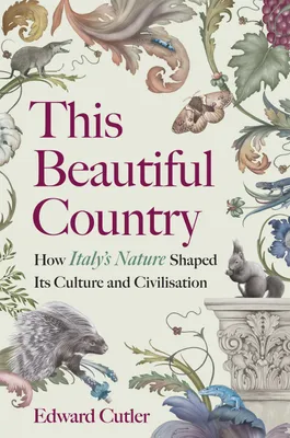 Produktbild von This Beautiful Country