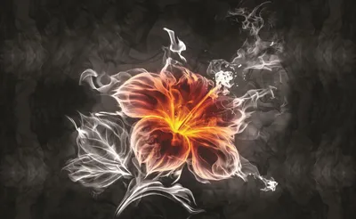 Produktbild von Fototapete Vlies 1107 VEXXL Blume Feuer 312 x 219m 3-tlg. 312 x 219 cm