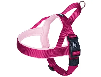 Produktbild von Nobby Norweger Geschirr Classic Preno himbeere/pink, Bauchumfang: 38-50 cm