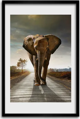 Produktbild von Bild - Bilderrahmen - 40 cm x 60 cm - MDF - Rahmen - Wandkunst - Schlendernder Elefant
