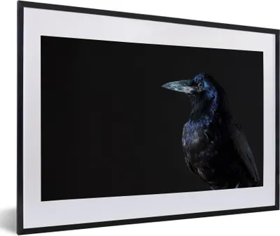 Produktbild von MuchoWow® Gerahmtes Poster Vogel - Tiere - Schwarz 60x40 cm - Poster mit Schwarzem Bilderrahmen Wandposter Rahmen Foto Bilder - Schlafzimmer - Plakat in Rahmen - Drucken