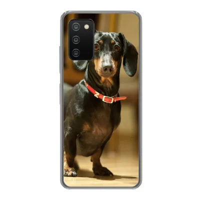Produktbild von MuchoWow® Handyhülle Schutzhülle Hülle für Samsung Galaxy A03s Porträt eines schwarzen Dackels Silikon Softcase Handy Hülle - Schutz