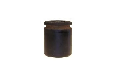 Produktbild von NK Bremskolben Ø 42 mm Hinten (8693004) für Chrysler Voyager / Grand III IV