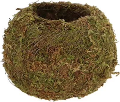 Produktbild von Esschert Design Kokedama Moos-Kugel S Ø 9 cm