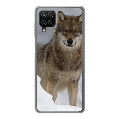 Produktbild von MuchoWow® Handyhülle Schutzhülle Hülle für Samsung Galaxy A12 Wolf - Schnee - Tiere Silikon Softcase Handy Hülle - Bild