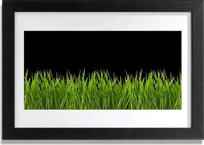 Produktbild von Bild 30x20 MDF-Rahmen Wandkunst Green Grass Natur