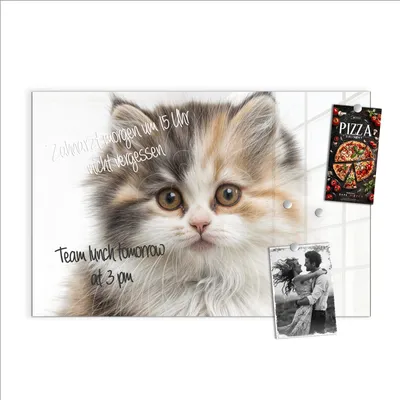 Produktbild von Magnettafel 60x40cm Pinnwand Whiteboard beschreibbar - Flauschige Katze