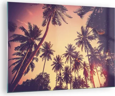 Produktbild von Bilder auf glas - Einteilig - Palmen Himmel Sonne - 70x50cm - Glasbilder - Wandbilder - Bilder - zum Aufhängen bereit - Wanddekoration aus Glas - Glas Bilder - Wandbild auf Glas - GAA70x50-4220