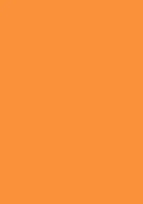 Produktbild von 100 Blatt farbiges Druckerpapier / buntes Kopierpapier / Farbe: neonorange
