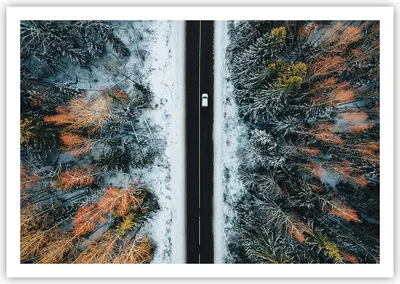 Produktbild von Poster - Poster ohne Rahmen - Wald Weg Schnee - 100x70 cm - Wand Bild - Wanddeko - Wandbilder - Kunstposter - Wandposter - Bilder - Kunstdruck - Wanddekoration - Wandbild - P2XAA100x70-4654