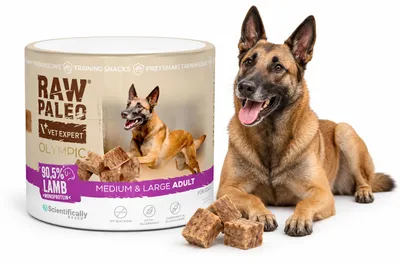 Obrázek produktu pro Pamlsek pro psy VetExpert Raw Paleo, hypoalergenní, s jehněčím masem, 90 g, Obrázek vytvořený pomocí AI