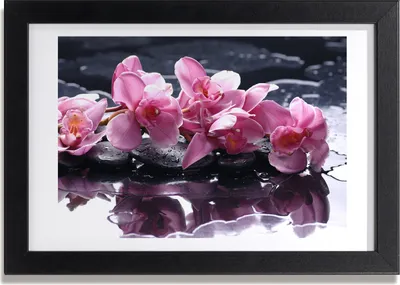 Produktbild von Bild 30x20 MDF-Rahmen, Wandkunst rosa Orchidee