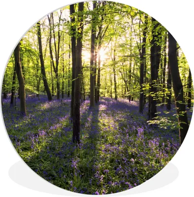 Produktbild von MuchoWow® Rundes Wandbild - Runde Bilder Wald - Blumen - Lavendel Ø 30 cm Kreis Wanddekoration Kunststoff - Wandkreis - Wandschmuck - Schlafzimmer - Bilder - Der Kreis - Kunst für die Wohnung - Plastik - Kunstdruck - Wandbild