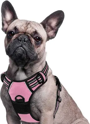 Produktbild von Famanu Hundegeschirr – Anti-Zieh-Geschirr – Für große und mittelgroße Hunde
