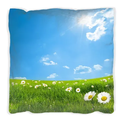 Produktbild von Wallario Premium Kissen, weiche Oberfläche, mit Motiv Sommerwiese - Weiße Gänseblümchen vor blauem Himmel, Größe: 40 x 40 cm, mit weißer Rückseite