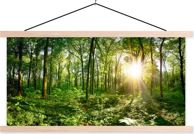 Produktbild von MuchoWow® Textilposter Wald - Sonne - Frühling 60x30 cm mit holzfarbenen Rahmen - Dekoration
