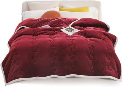 Produktbild von Dick Warm Winter Bettdecke, Steppdecke Aus Mikrofaser, Flanell Plüsch Bettdecke mit Daunen und Federn Füllung, Medium Wärme Daunen Bettdecke 370gsm,Rot,180x200cm