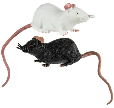 Produktbild von Dehnbare Ratte als Spielzeug 23 cm | Schwarz / Weiß