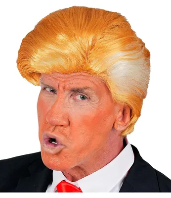 Produktbild von Mr. President Perücke Rotblond – Politiker Perücke mit Föhnfrisur & Seitenscheitel – One Size für Erwachsene – Kostümzubehör für Halloween, Fasching, Karneval & Mottoparty