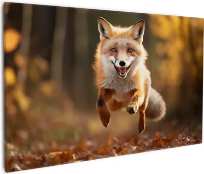 Produktbild von Wallario Premium Leinwandbild Rennender Fuchs in Größe 60 x 90 cm