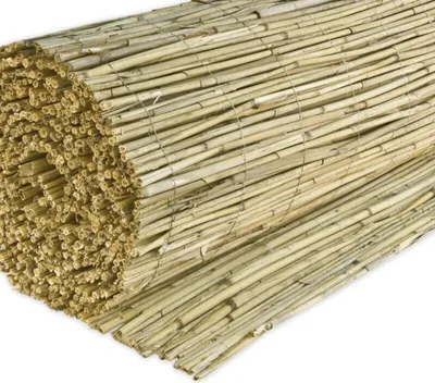 A rolled-up privacy screen made of reeds, shown from a close-up perspective against a white background.