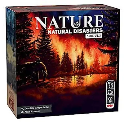 Immagine prodotto di Disastri naturali