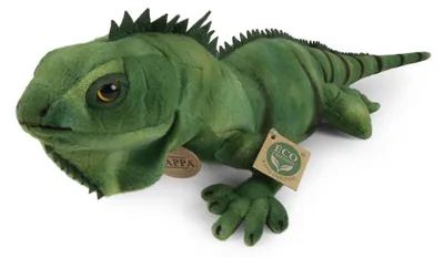 Produktbild von Grüner Plüsch-Leguan, 68 cm, umweltfreundlich