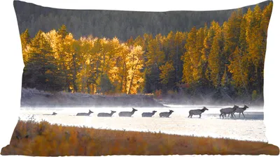 Produktbild von MuchoWow® Zierkissen Sofakissen Wohnzimmer Dekokissen 50x30 cm Hirsch - Wald - Fluss - Wohnzimmerdekoration - Polster mit Photo