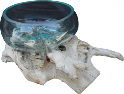Produktbild von Wurzelholz Glasschale Vase L 2 St 2 Liqva Schalen L 2 Wurzelholz Designer-Schalen L 2 Deko Schalen L 2 Teakholz-Schalen L Dekoschale L 2 Wurzelholz Glasschalen L 2 Liqvaschale auf Holz
