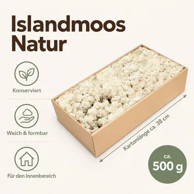 Islandmoos Natur, Natur, 500 g – Maße und Liefermenge auf einen Blick