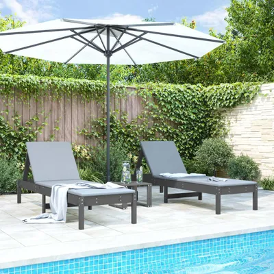 Zdjęcie produktu dla VidaXL 825070, Lounge, Drewno sosnowe, Szary, 70 kg