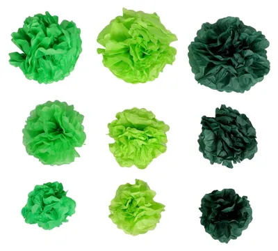 Produktbild von 21 Stück grüne Pompons aus Seidenpapier für Abschlussfotos und Partydekoration