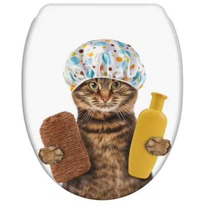 Obrázok produktu pre SANILO® WC sedadlo s automatickým spúšťaním a rýchlym systémom upevnenia, toaletový kryt priamo od výrobcu, kryt na toaletu, sedadlo na toaletu, toaletný kryt