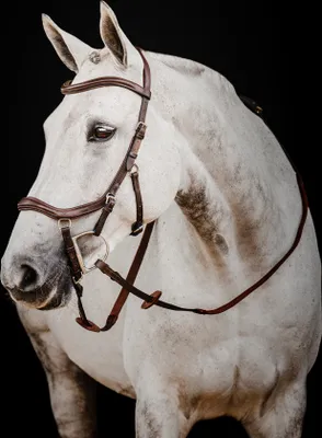 Produktbild von Horseware Micklem II Deluxe Competition Bridle mit Zügel, Größe:großes Warmblut, Farbe:Dark Havana