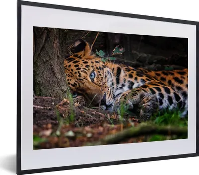 Produktbild von MuchoWow® MuchoWow® Gerahmtes Poster Panther - Baum - Dschungel 40x30 cm - Poster mit zchwarzem Bilderrahmen - Bilderrahmen - Poster im Rahmen