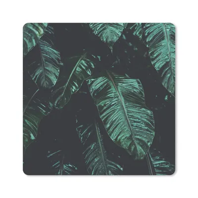 Produktbild von MuchoWow® Mauspad Mousepad Dschungel - Palme - Blätter - Tropisch 30x30 cm - Mousepads - Maus Mat - Pad - Mausunterlage - Gaming