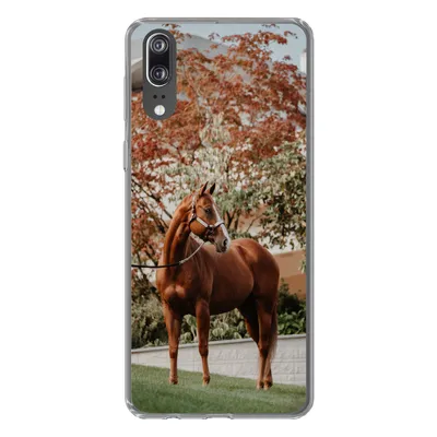 Produktbild von MuchoWow® Handyhülle Schutzhülle Hülle für Huawei P20 Pferd - Baum - Halfter Silikon Softcase Handy Hülle - Hardcover