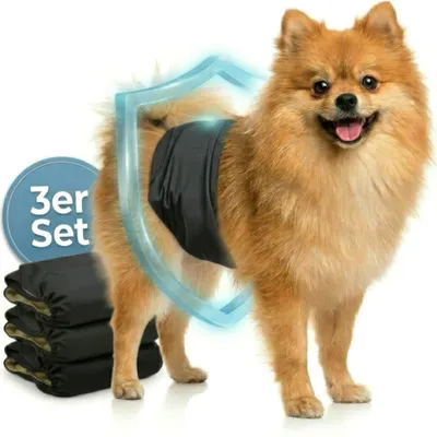 Produktbild von HUND IST KÖNIG Hundewindeln für Rüden [3 Stk], XS (Taille 23-32 cm) - saugstarke Hundewindeln bei Inkontinenz, umweltfreundliche Rüdenwindel waschbar
