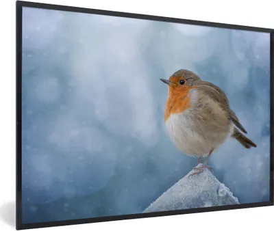 Produktbild von MuchoWow® Gerahmtes Poster Rotkehlchen - Winter - Blau 90x60 cm - Poster mit Schwarzem Bilderrahmen Wandposter Rahmen Foto Bilder - Fotorahmen - Foto-Plakat