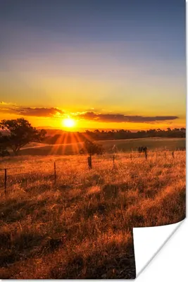 Produktbild von MuchoWow® Poster Sonne - Gras - Baum - Natur 80x120 cm - Papierdruck