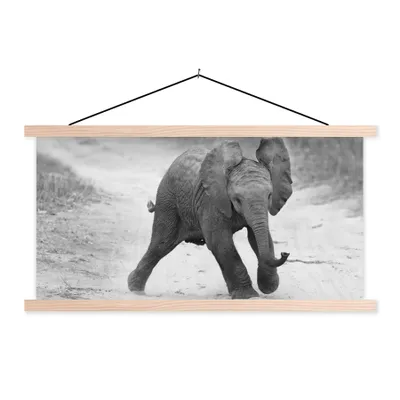 Produktbild von MuchoWow® Textilposter Elefant - Baby - Tiere - Kröte - Schwarz und weiß 120x60 cm mit holzfarbenen Rahmen - Klemmleiste
