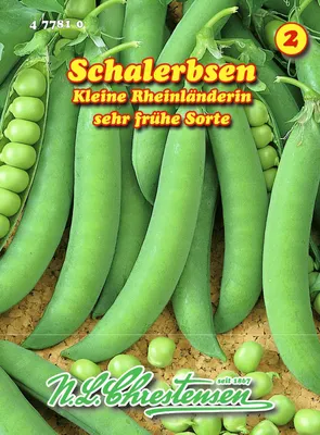 Produktbild von Schalerbse Kleine Rheinländerin | Schalerbsensamen von N.L. Chrestensen