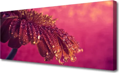 Produktbild von Tulup Leinwand-Bilder 125x50 Wandbild Canvas Kunstdruck Baum Pflanzen