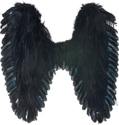 Produktbild von Wings with feathers black 65cm