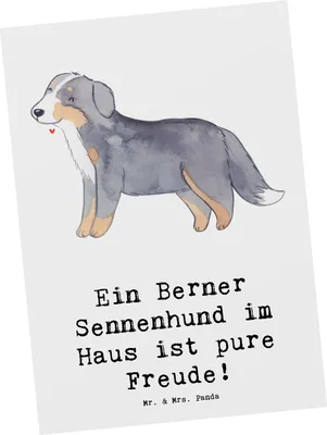 Produktbild von Mr. & Mrs. Panda Postkarte Berner Sennenhund Freude - Weiß - Geschenk, Ansichtskarte, bildkarte, Grußkarte, Hunderassen Beschreibung, Haustierfreude, Charakter, Wachhund