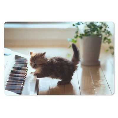 Produktbild von MuchoWow® Schreibtischunterlage Katze - Tier - Kätzchen 60x40 cm - XXL Mauspad - Großes Mauspad