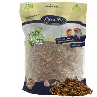 Produktbild von 1 kg Lyra Pet® Protein Boost Insekten Mix - mit Mehlwürmern, Shrimps & Grashüpfern